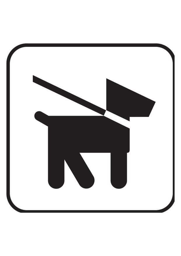 hund i koppel Målarbild hund i koppel