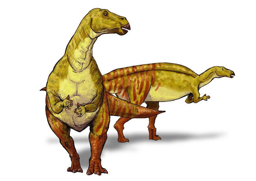 iguanodont dinosaurie bild iguanodont dinosaurie