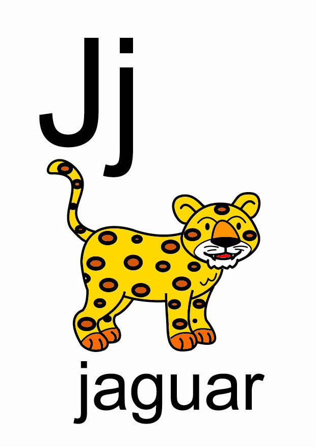 j bild j