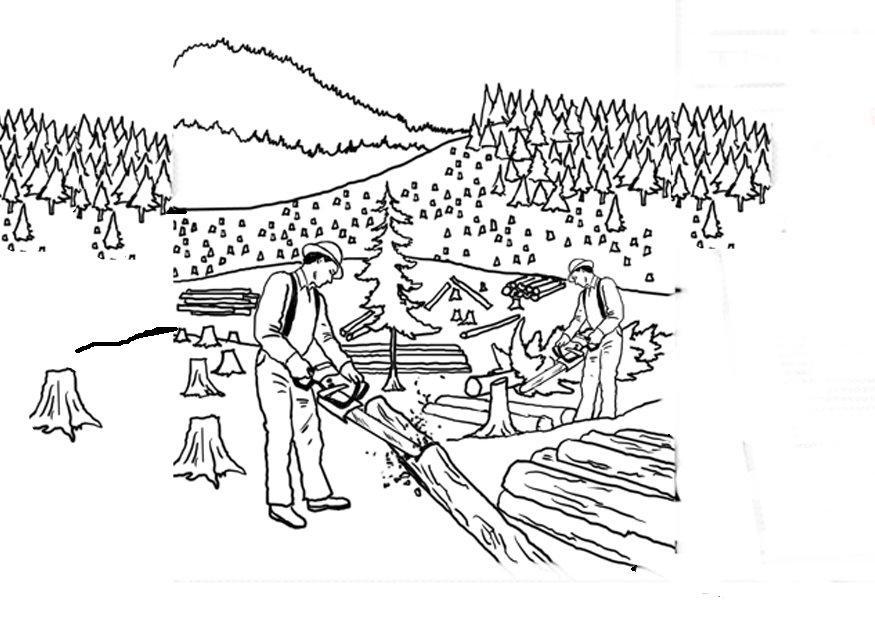 Målarbild kalhygge