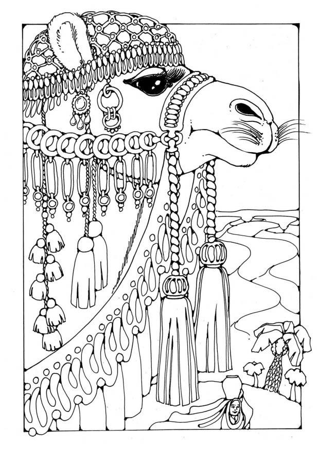 Målarbild kamel