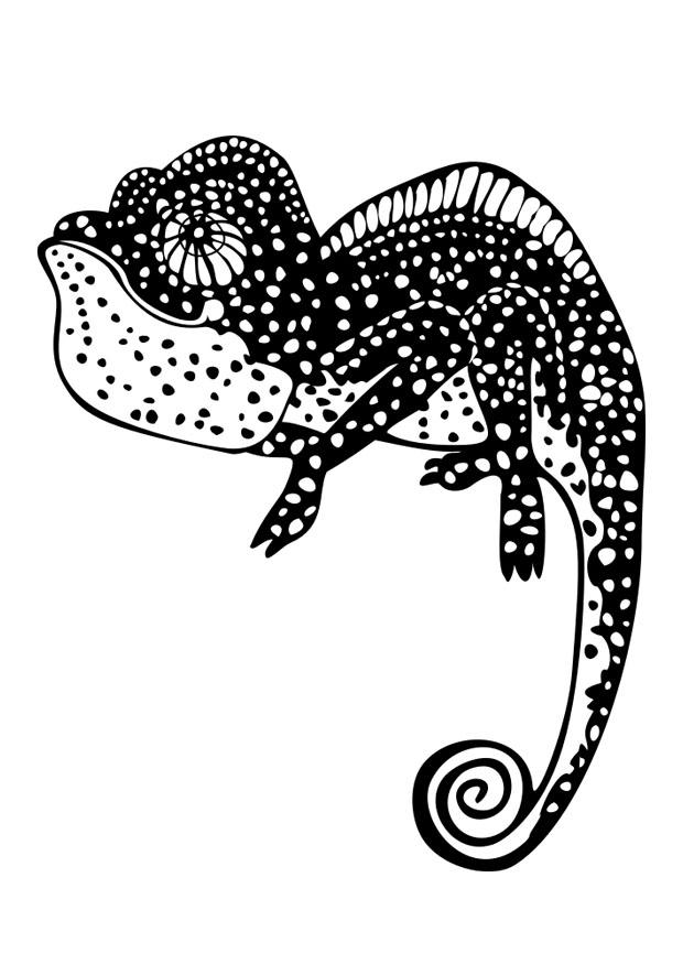 kameleont Målarbild kameleont