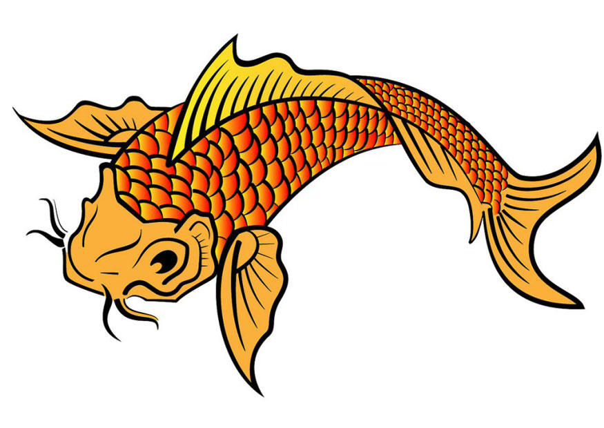 karp bild karp