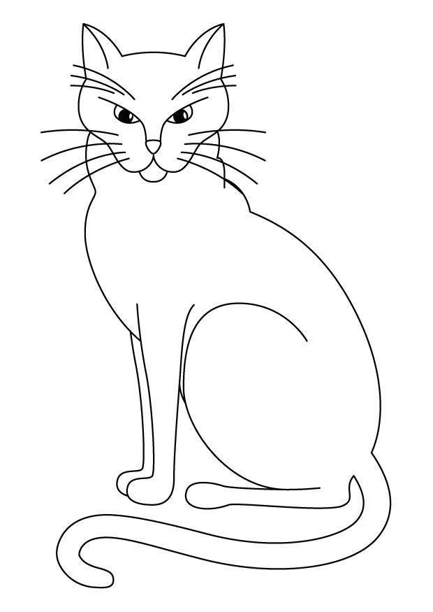 katt Målarbild katt