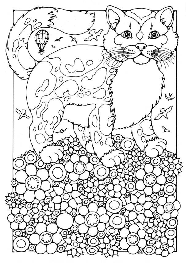 katt Målarbild katt