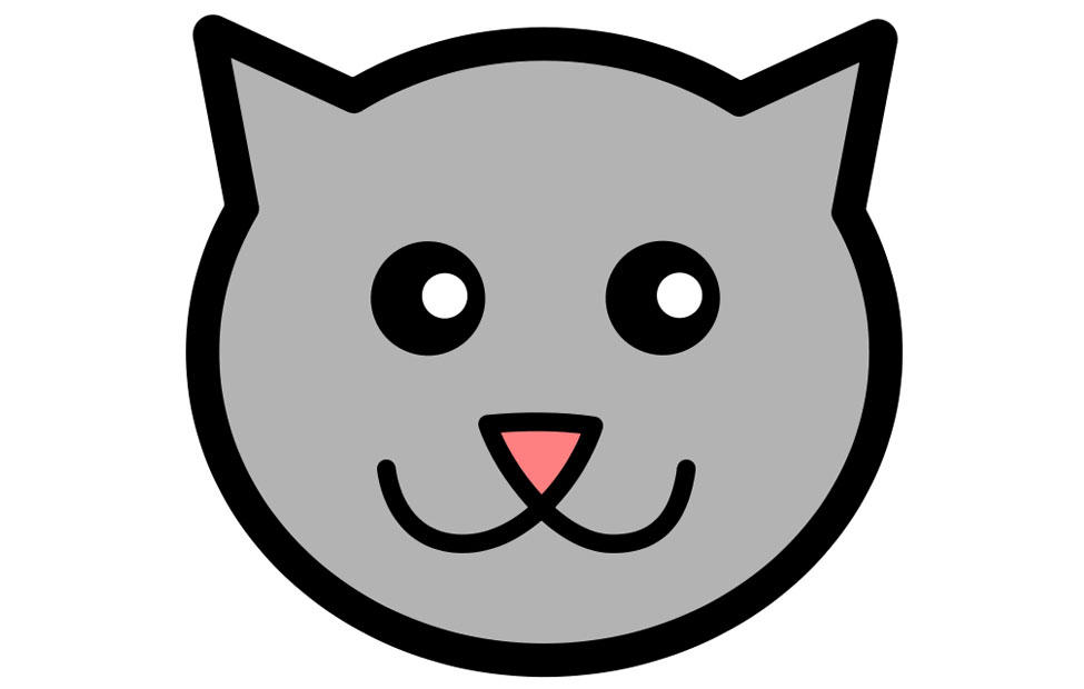 katt bild katt
