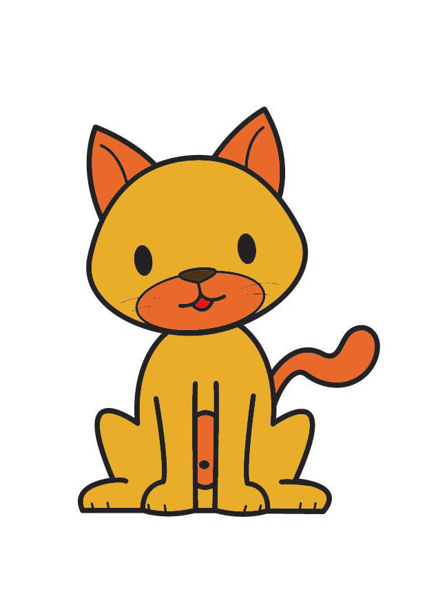 katt bild katt