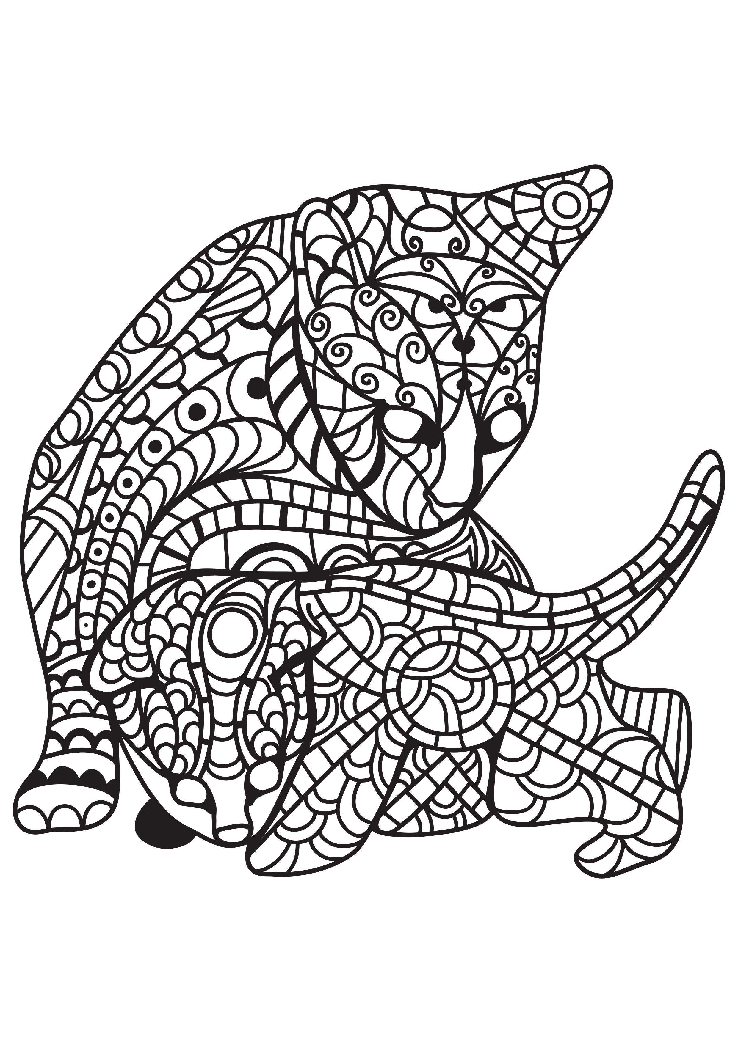katt med kattunge Målarbild katt med kattunge