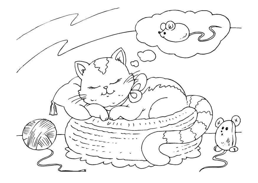katt som drÃ¶mmer