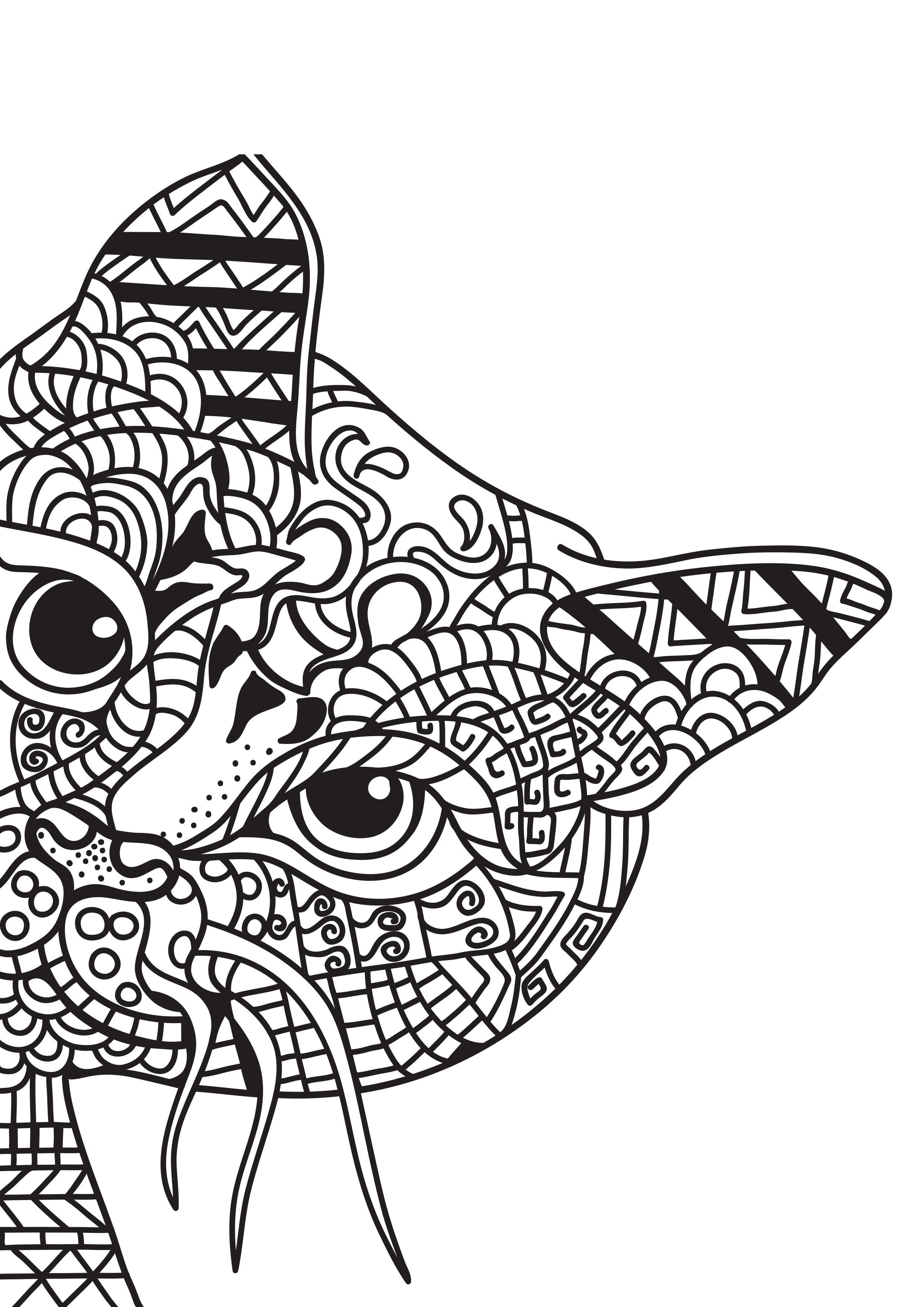 Målarbild katten gA¶mmer sig