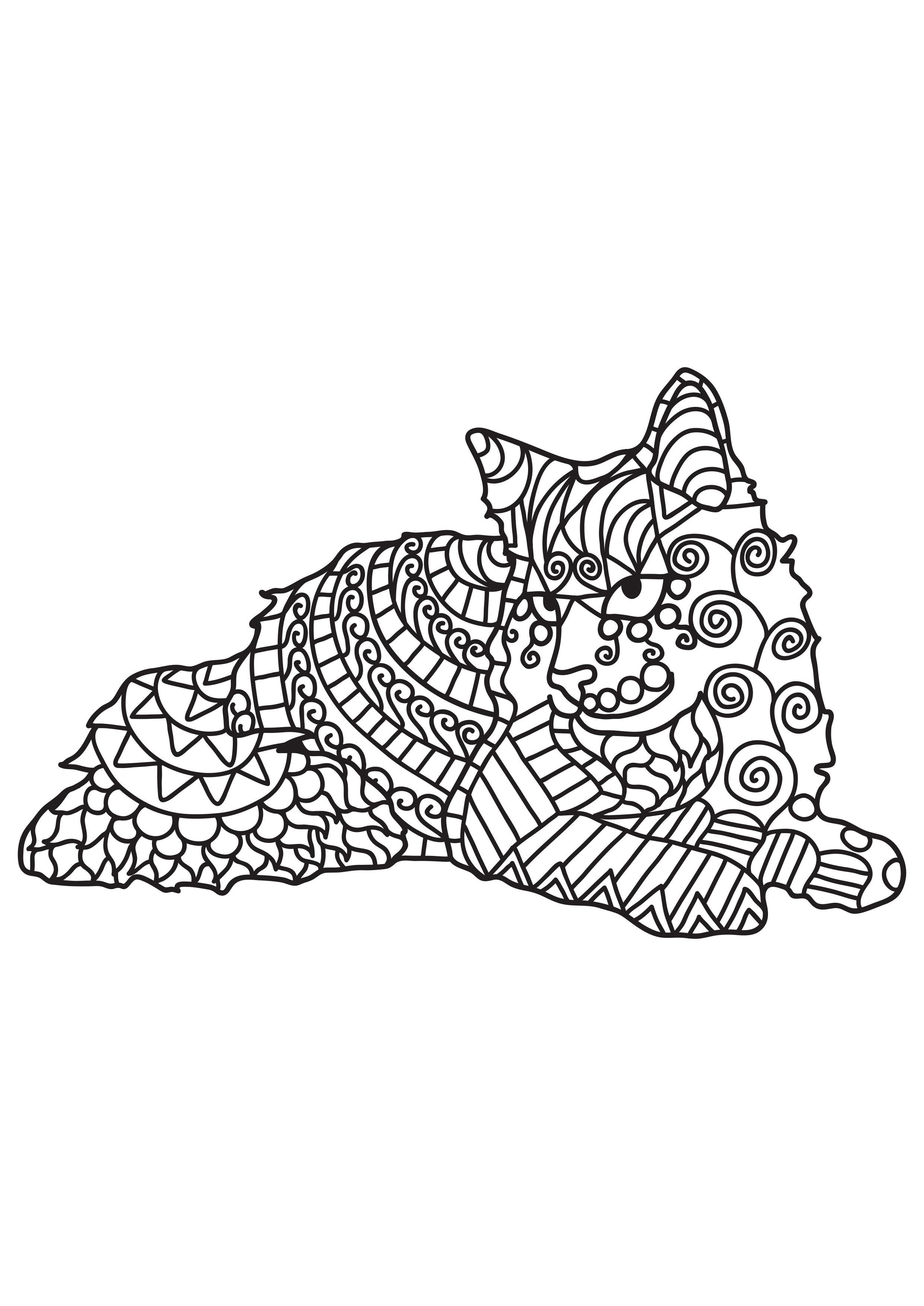 katten vilar Målarbild katten vilar