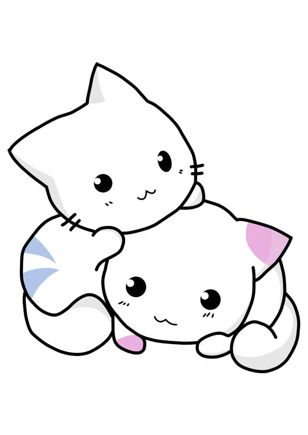 kattungar bild kattungar
