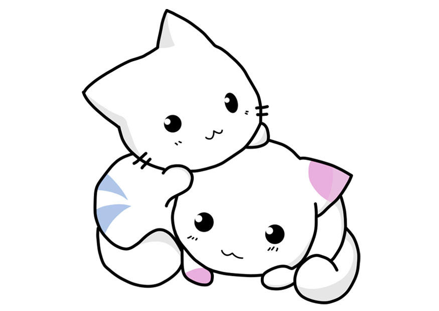 kattungar bild kattungar