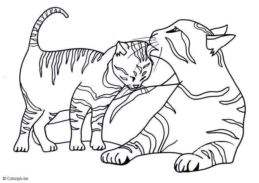 kattunge Målarbild kattunge