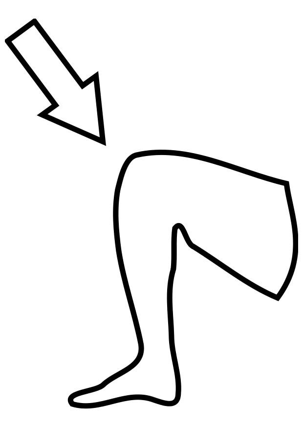 knA¤ Målarbild knA¤