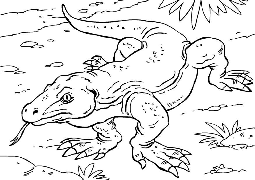 Målarbild komodovaran