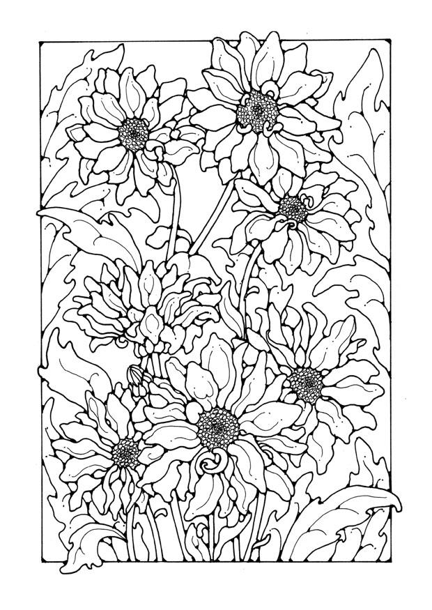krysantemum Målarbild krysantemum