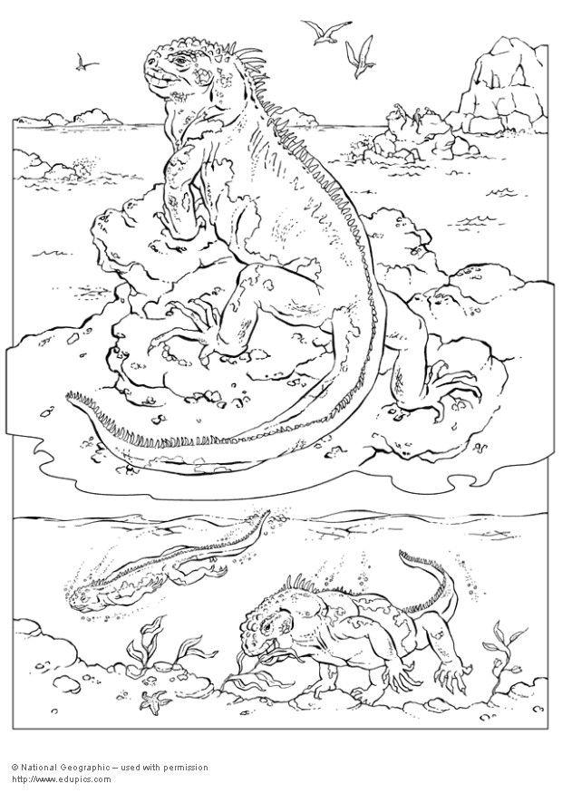 Målarbild leguan