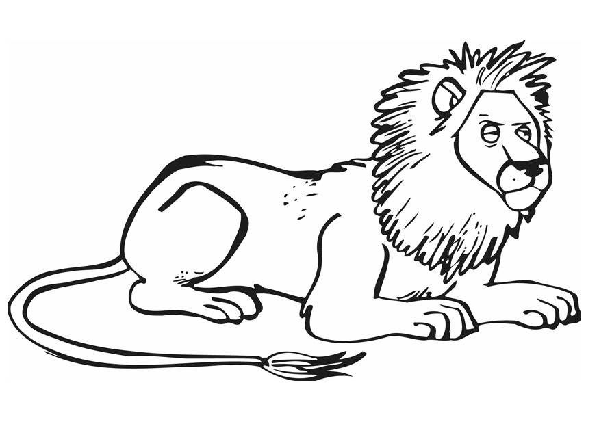 lejon Målarbild lejon