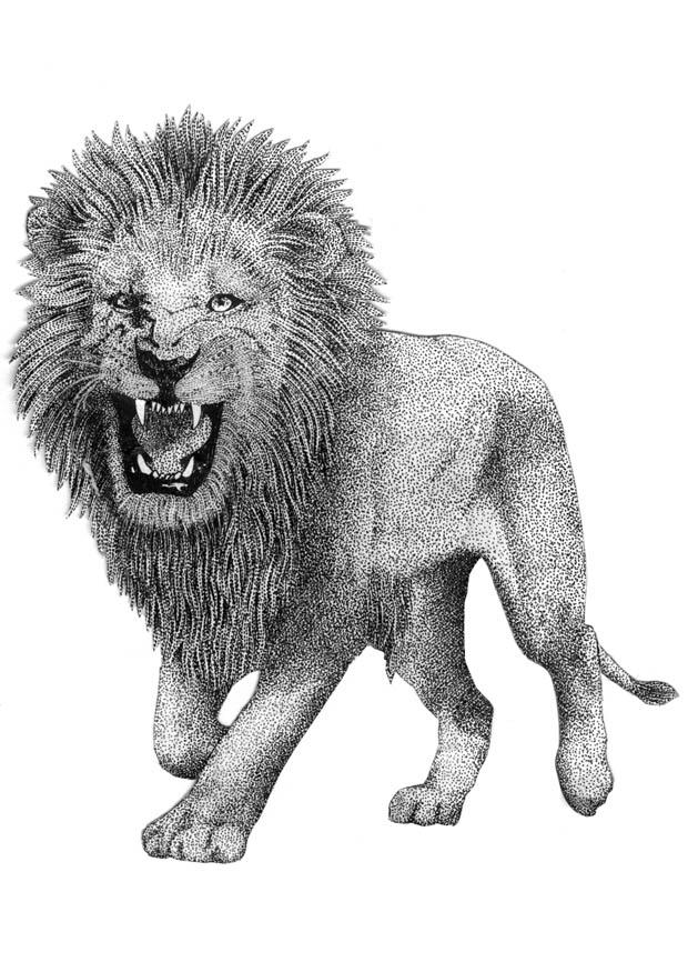 lejon Målarbild lejon