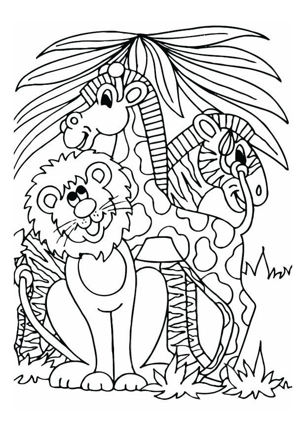 lejon, giraff och zebra Målarbild lejon, giraff och zebra