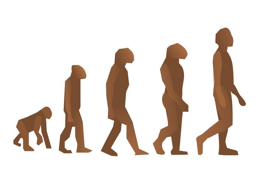 mA¤nsklig evolution bild mA¤nsklig evolution