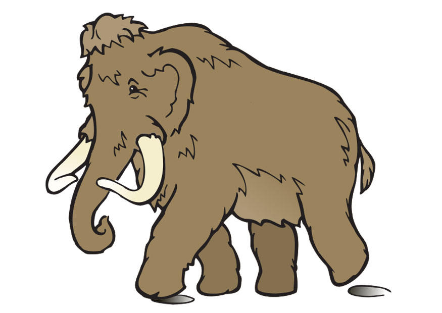 mammut bild mammut