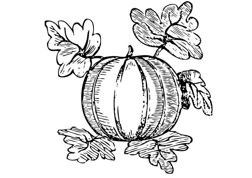 melon Målarbild melon