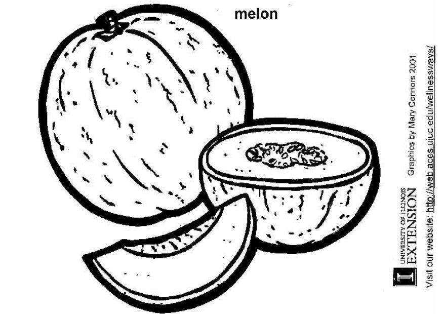 melon Målarbild melon