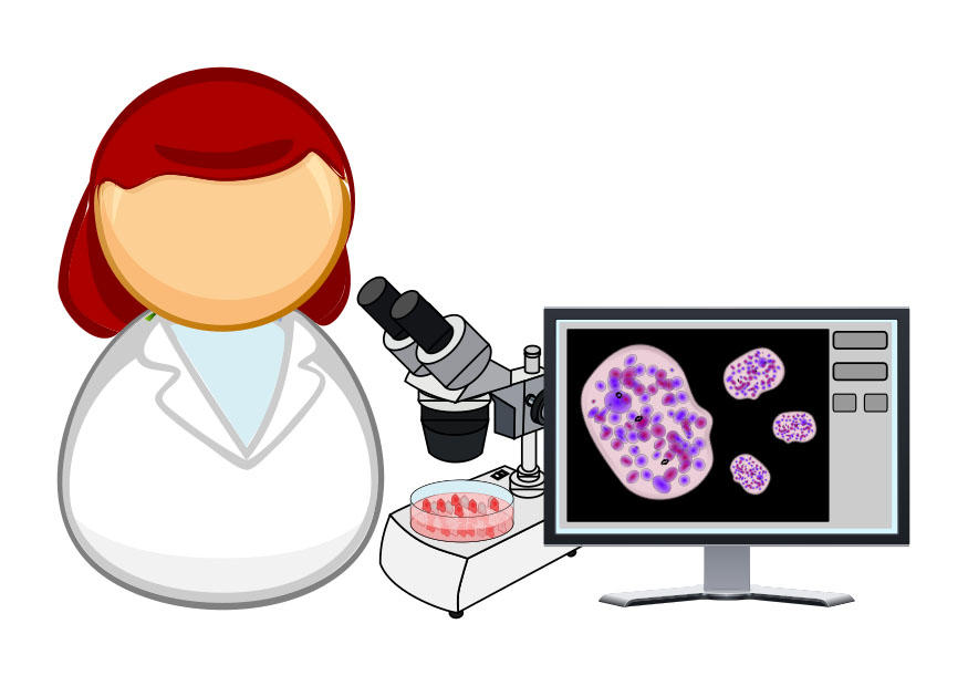 mikrobiolog bild mikrobiolog