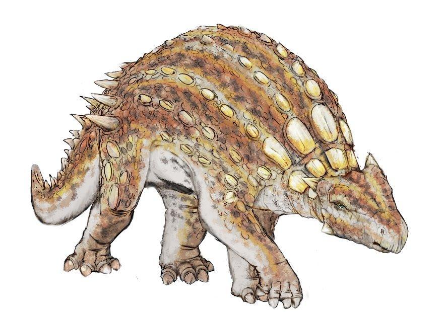 minmi paravertebra dinosaurie bild minmi paravertebra dinosaurie