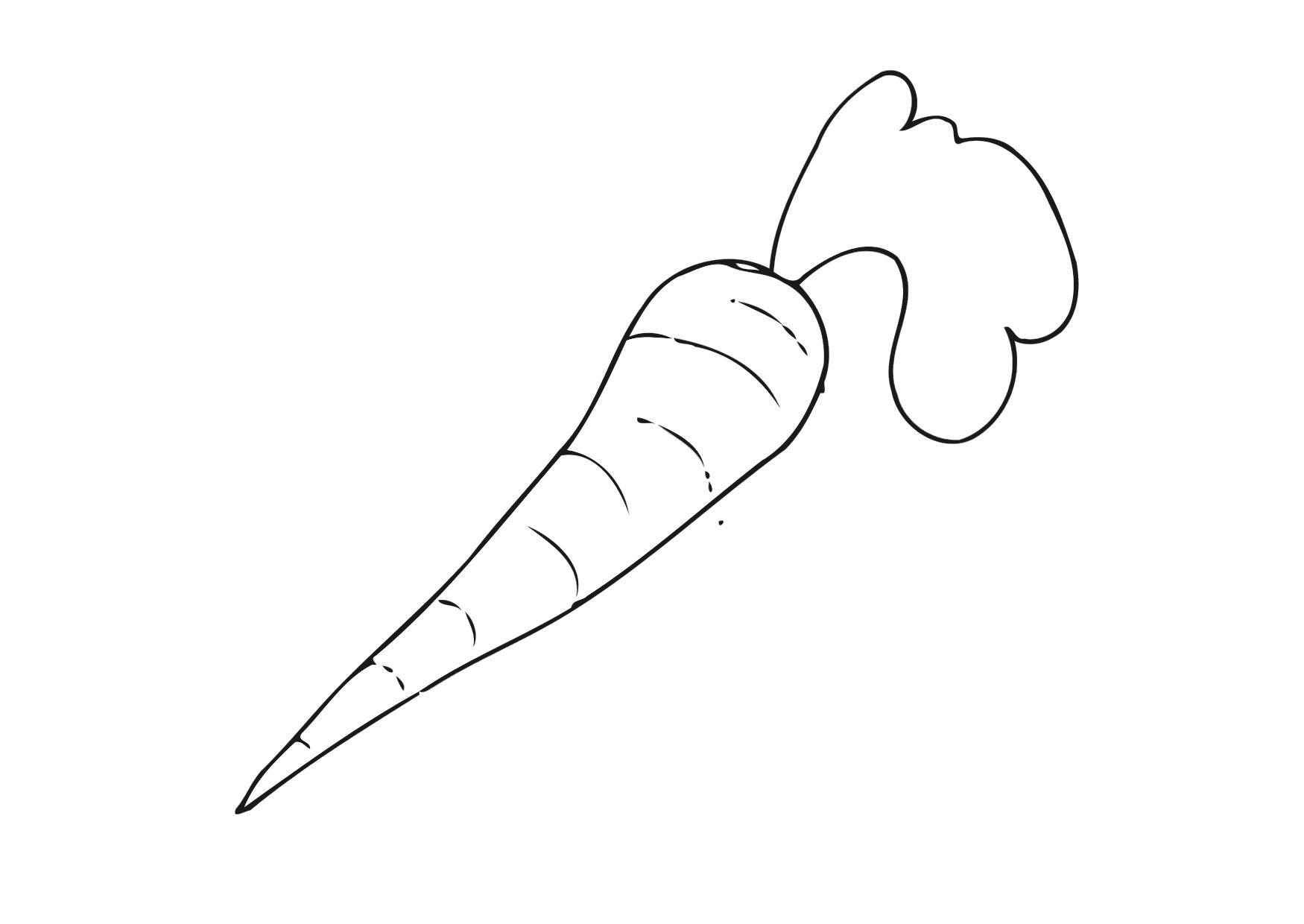 morot Målarbild morot