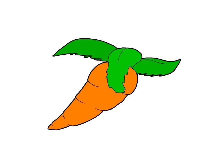 morot bild morot