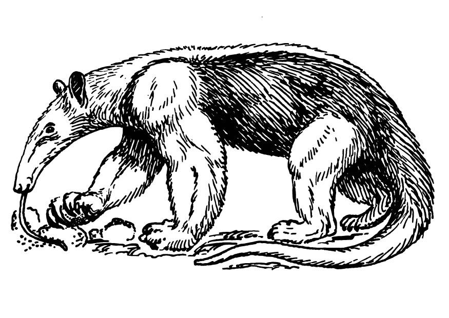 myrslok Målarbild myrslok