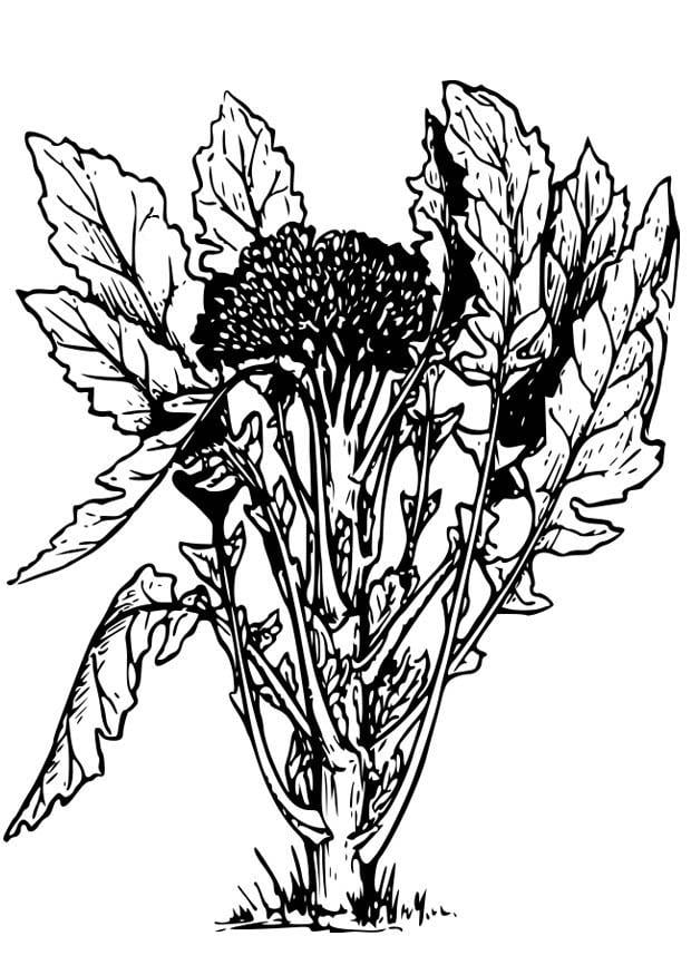 Målarbild broccoli