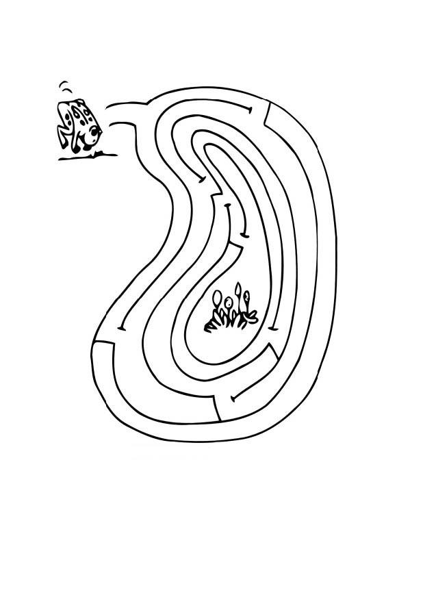 Målarbild labyrint - groda