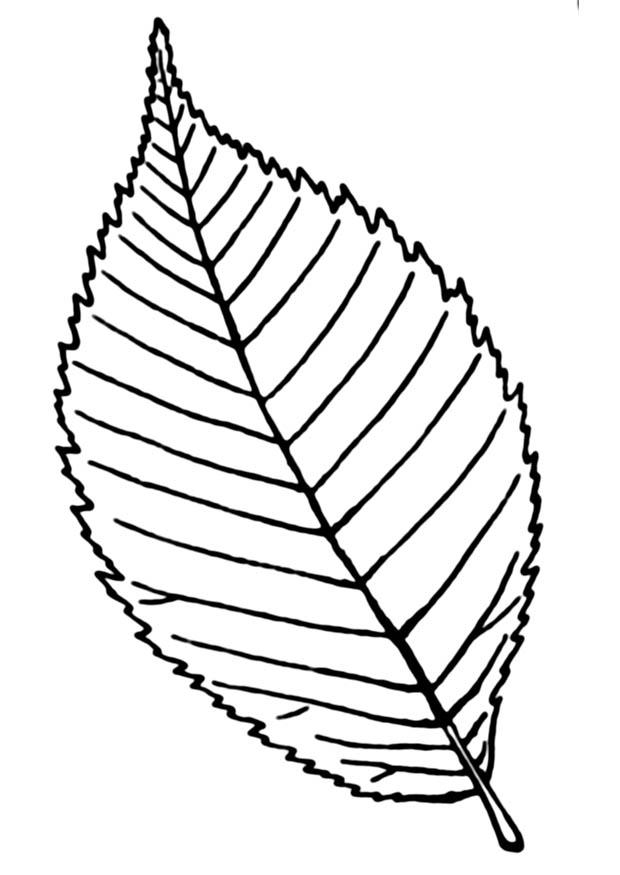 Målarbild lA¶v