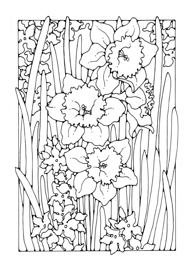 Målarbild narcissus