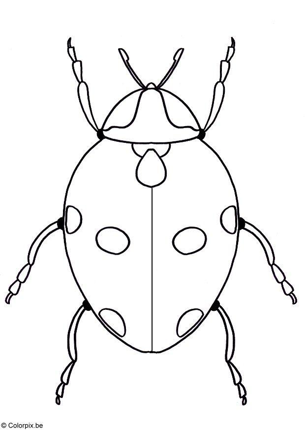 Målarbild nyckelpiga