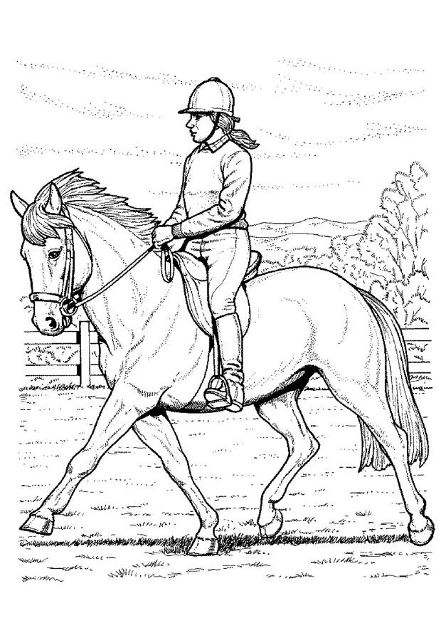 Målarbild ridning