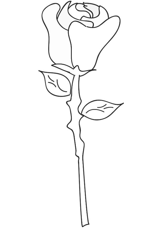 Målarbild ros