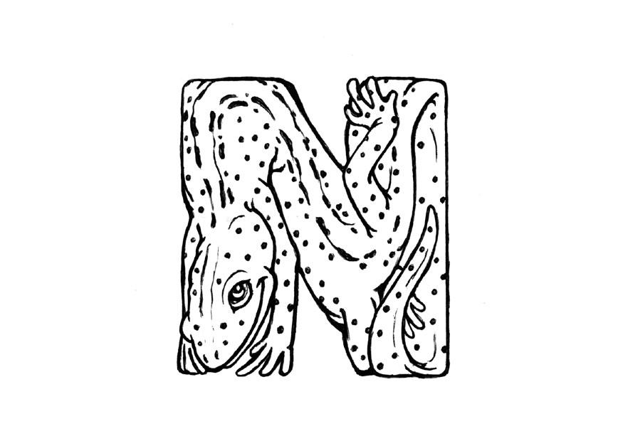 n-newt Målarbild n-newt