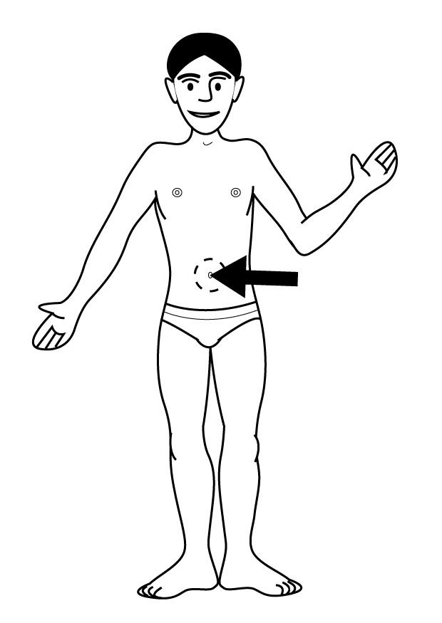 Målarbild navel