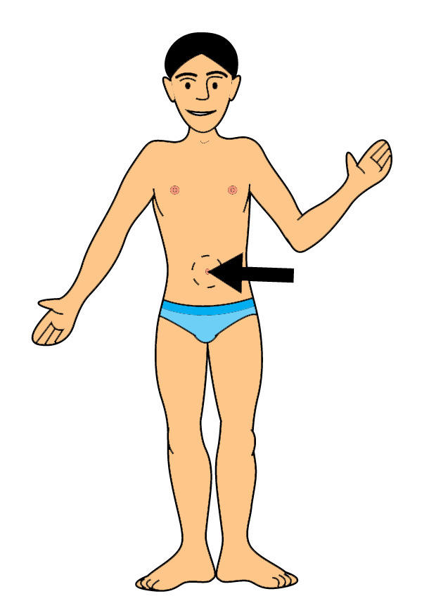 bild navel