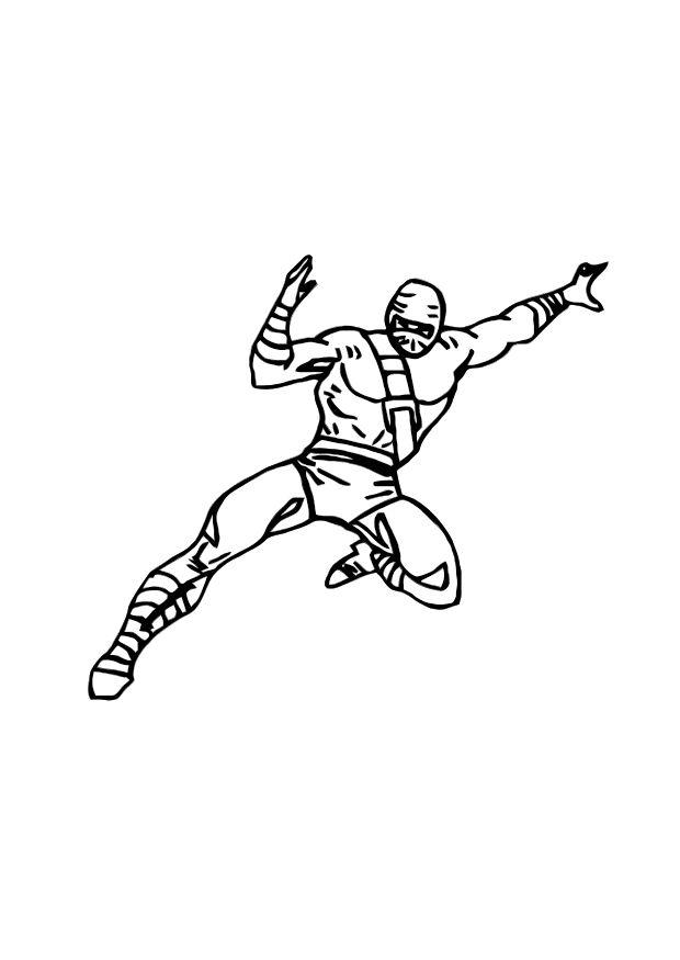 ninja Målarbild ninja