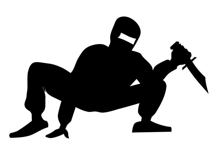 ninja Målarbild ninja