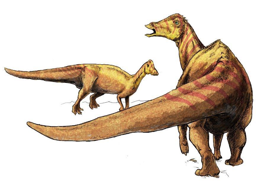 nipponosaurus bild nipponosaurus