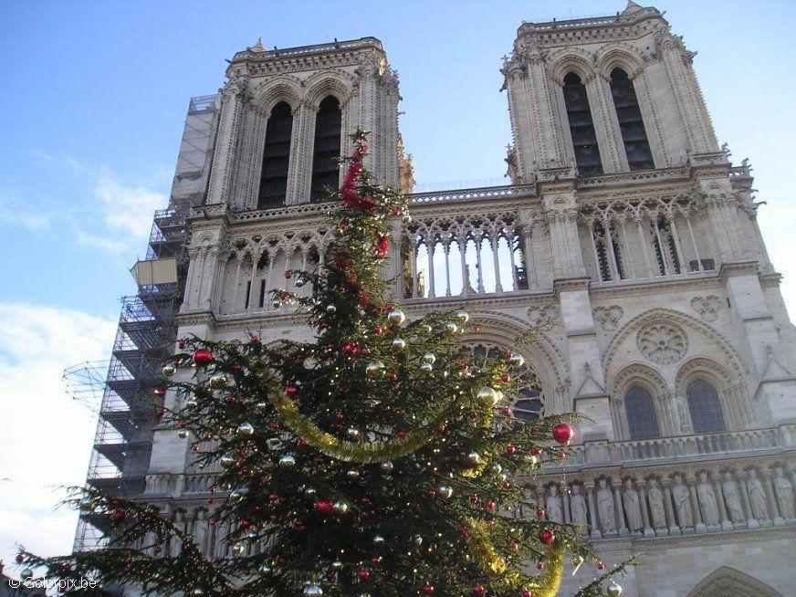 Foto notre dame i paris