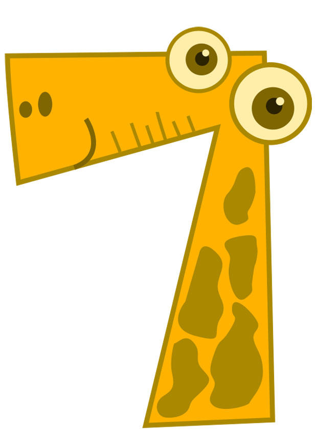 nummer - 7 bild nummer - 7