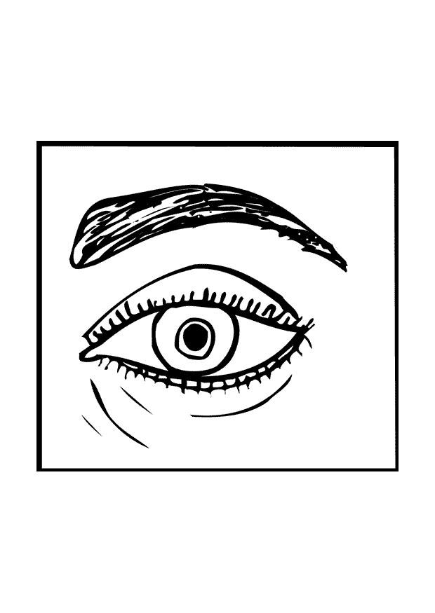A¶ga Målarbild A¶ga